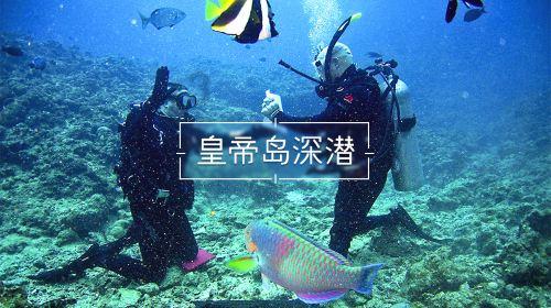 磁铁兄弟
